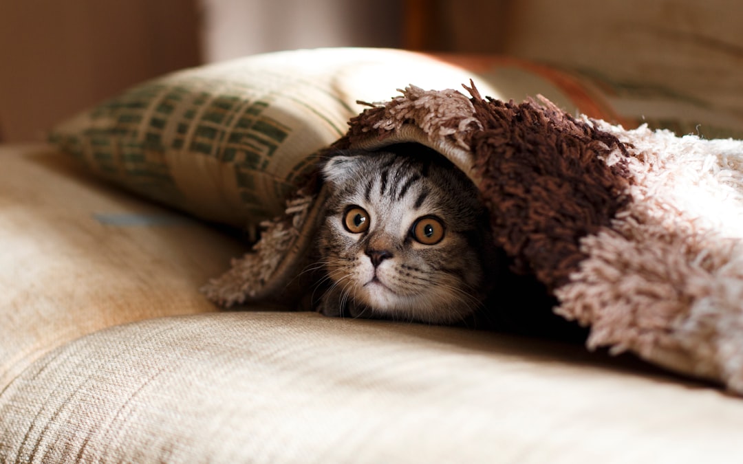 KiTTY, checksum, audit logs