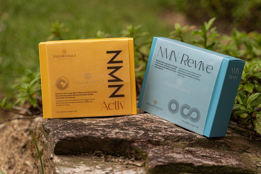 Wyns SSH Box, file manager, SSH